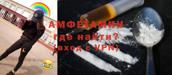 индика Богданович